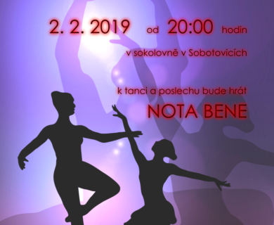 Plakát na ples v Sobotovicích 2019
