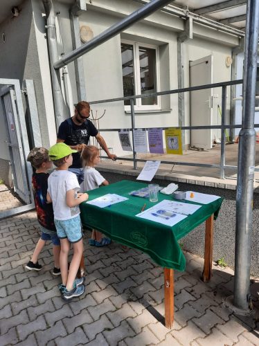 198810234 791512054892117 8547989316535065555 n